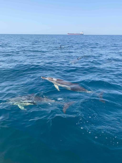 Alto Das Vinhas Lovers - Sesimbra Buitenkant foto